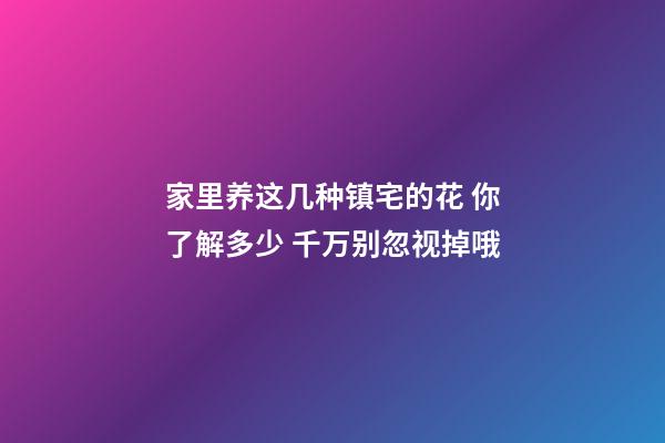 家里养这几种镇宅的花 你了解多少 千万别忽视掉哦